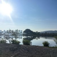 評論圖片 5