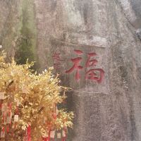 評論圖片 3