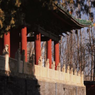 評論圖片 3