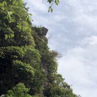 評論圖片 6