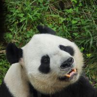 評論圖片 2