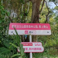 評論圖片 3