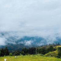 評論圖片 8