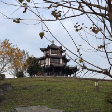 評論圖片 5