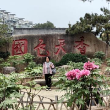 評論圖片 7