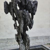 評論圖片 7