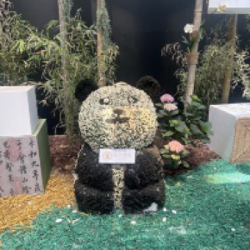 評論圖片 8