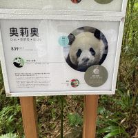 評論圖片 6