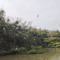 評論圖片 4