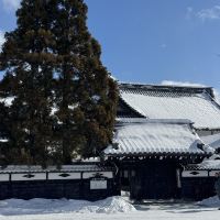 評論圖片 6