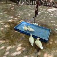 評論圖片 3