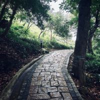 評論圖片 3