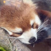 評論圖片 8
