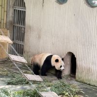 評論圖片 3