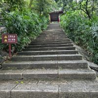 評論圖片 1