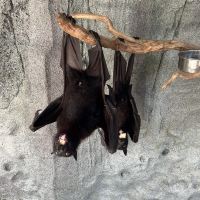 評論圖片 7