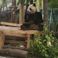 評論圖片 7