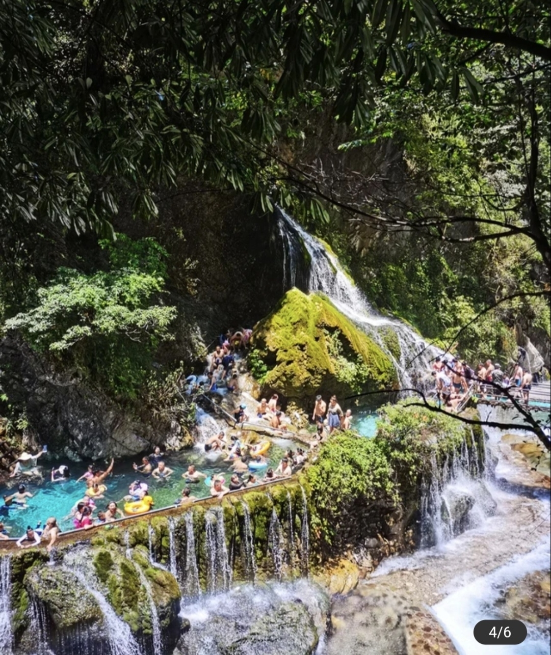 新版 runjiさま専用- runjiさま専用 - poumonquebec.ca