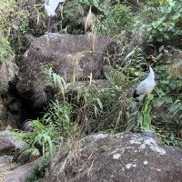 評論圖片 2