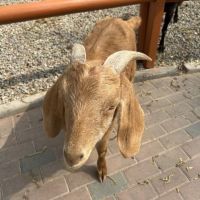 評論圖片 8