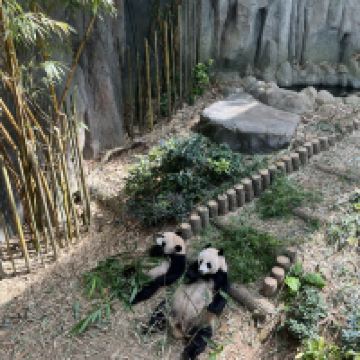 評論圖片 8
