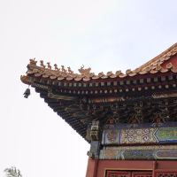 評論圖片 1