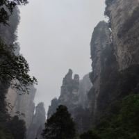 評論圖片 3