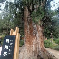評論圖片 3