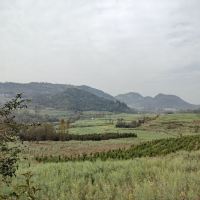評論圖片 9