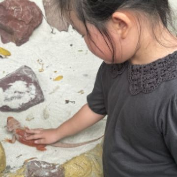 評論圖片 6