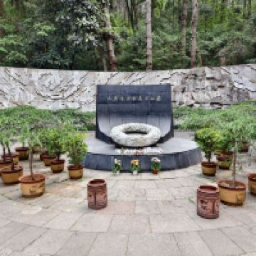 評論圖片 8