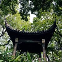 評論圖片 5