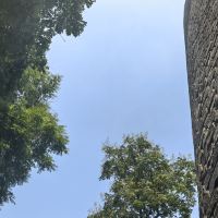 評論圖片 8