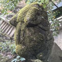 評論圖片 2