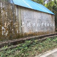 評論圖片 2