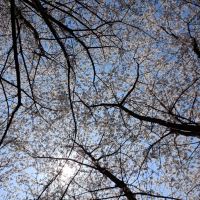評論圖片 6