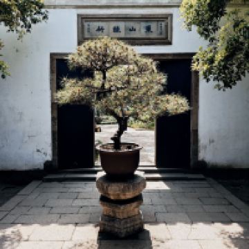 評論圖片 4