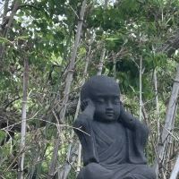 評論圖片 1