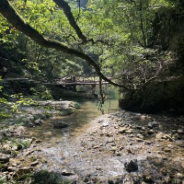 評論圖片 4
