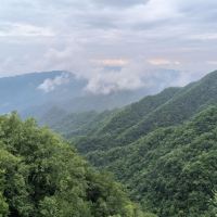 評論圖片 4