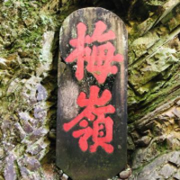 評論圖片 2