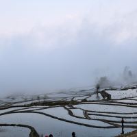 評論圖片 1