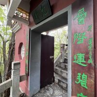 評論圖片 7