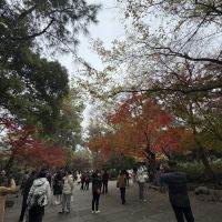 評論圖片 7