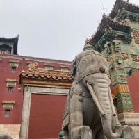 評論圖片 4