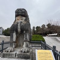評論圖片 6