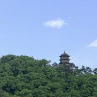 評論圖片 8