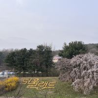 評論圖片 9
