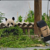 評論圖片 2