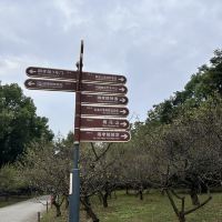 評論圖片 1